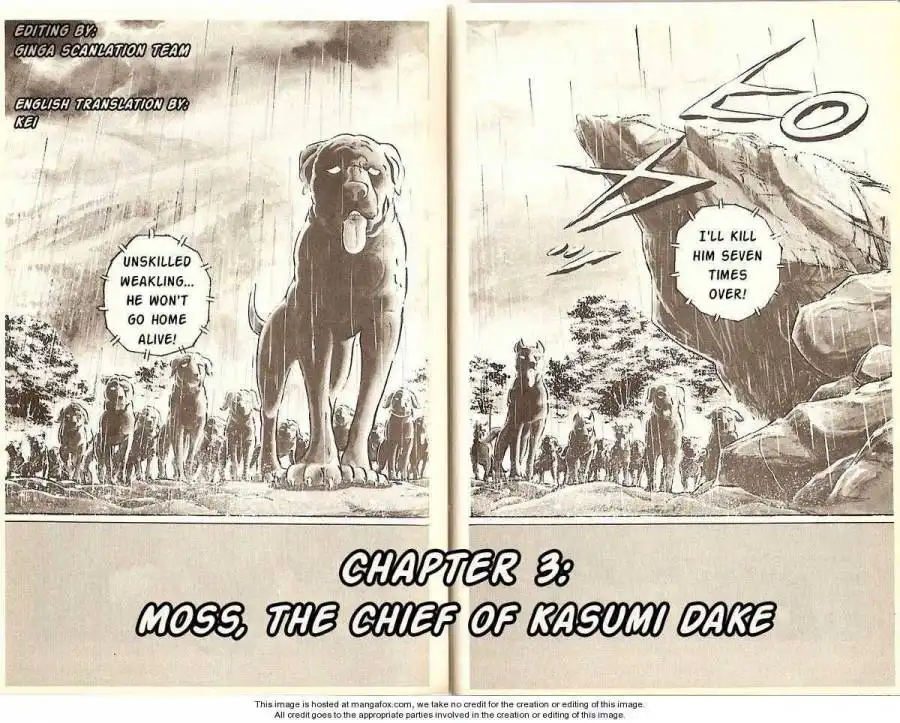 Ginga Nagareboshi Gin Chapter 4.3 3